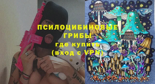 индика Покров
