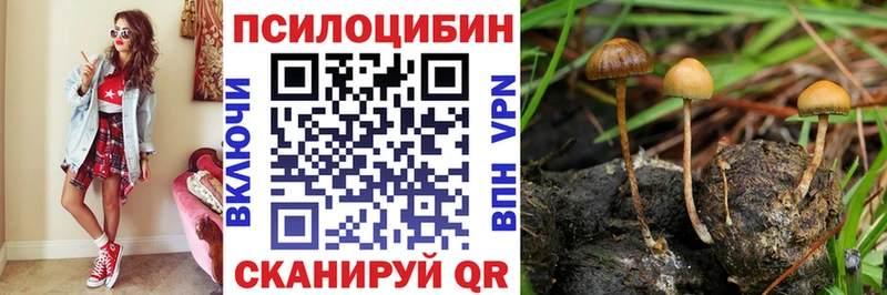 Галлюциногенные грибы MAGIC MUSHROOMS  Кяхта 